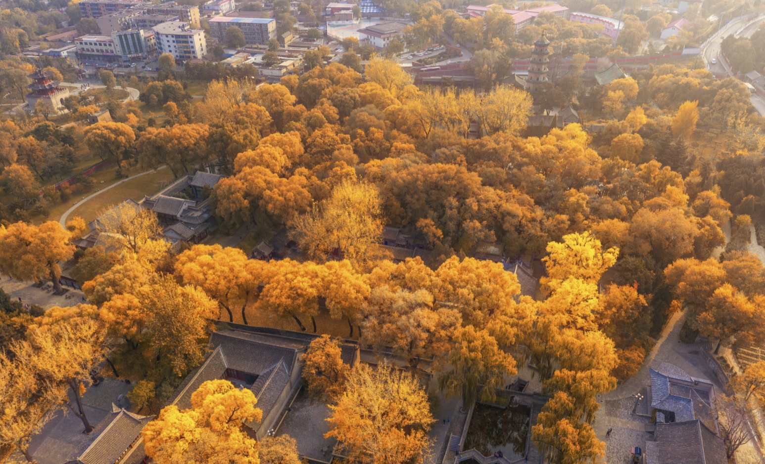 山西-晋祠博物馆-百亿像素